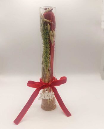 Glass Cylinder Dried Flowers Luvky Charm 2026