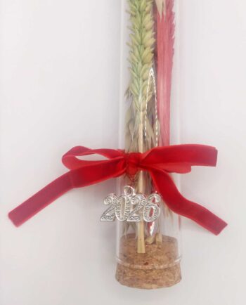 Glass Cylinder Dried Flowers Luvky Charm 2026