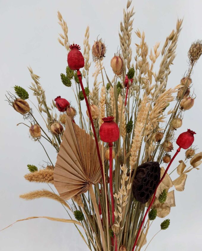 Dried Flowers Natural Red Arrangement Height. 65 cm