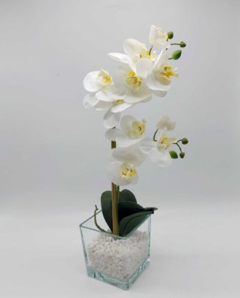 Arrangement Artificial Double Phalaenopsis Orchid