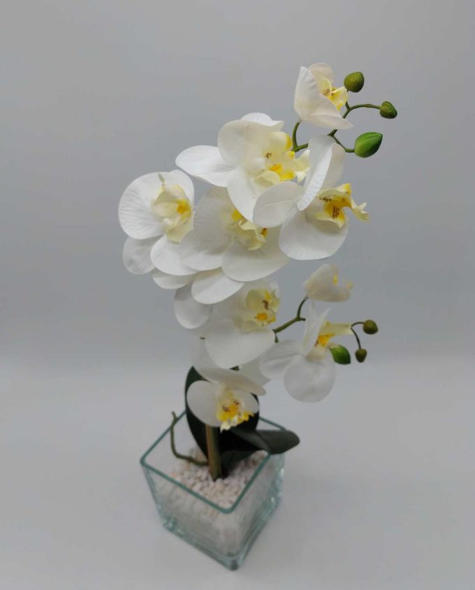 Arrangement Artificial Double Phalaenopsis Orchid