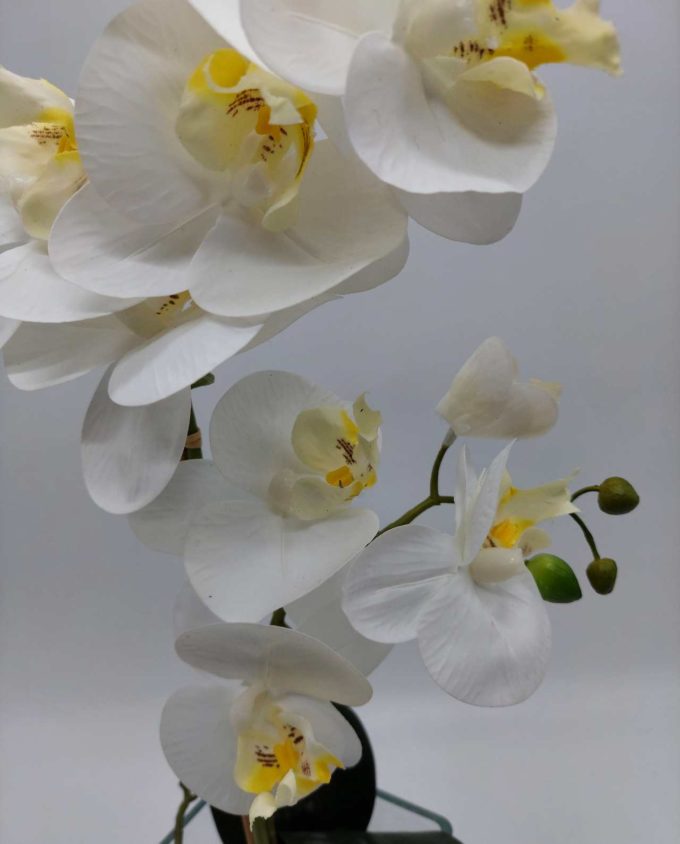 Arrangement Artificial Double Phalaenopsis Orchid