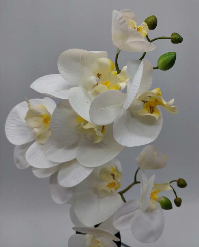 Arrangement Artificial Double Phalaenopsis Orchid