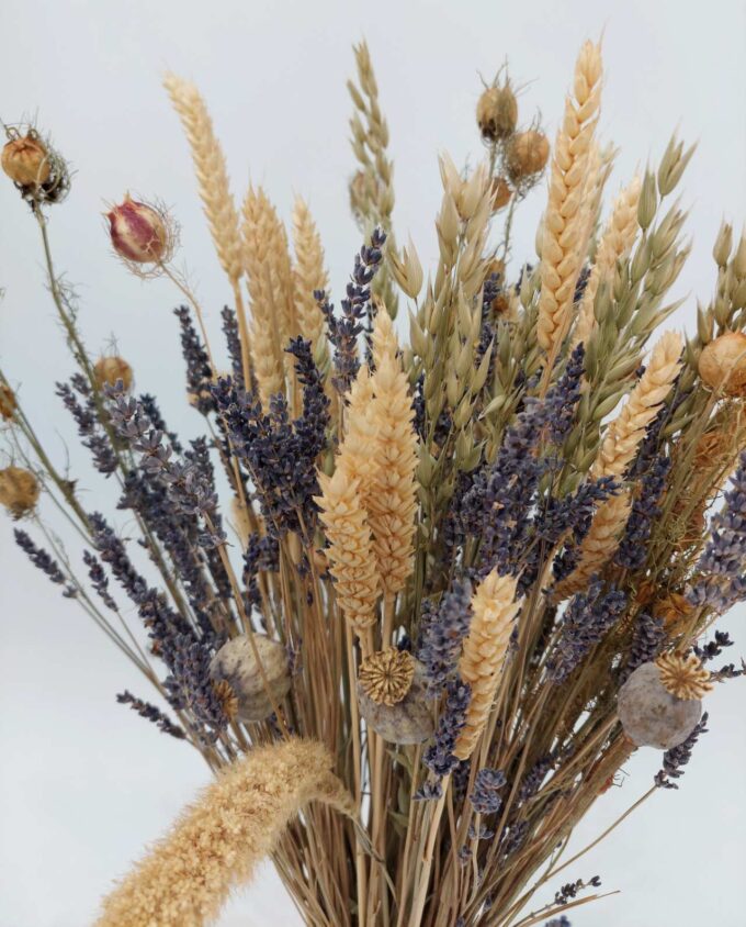 Dried Flowers Arrangement Lavender & Wheat h. 60 cm