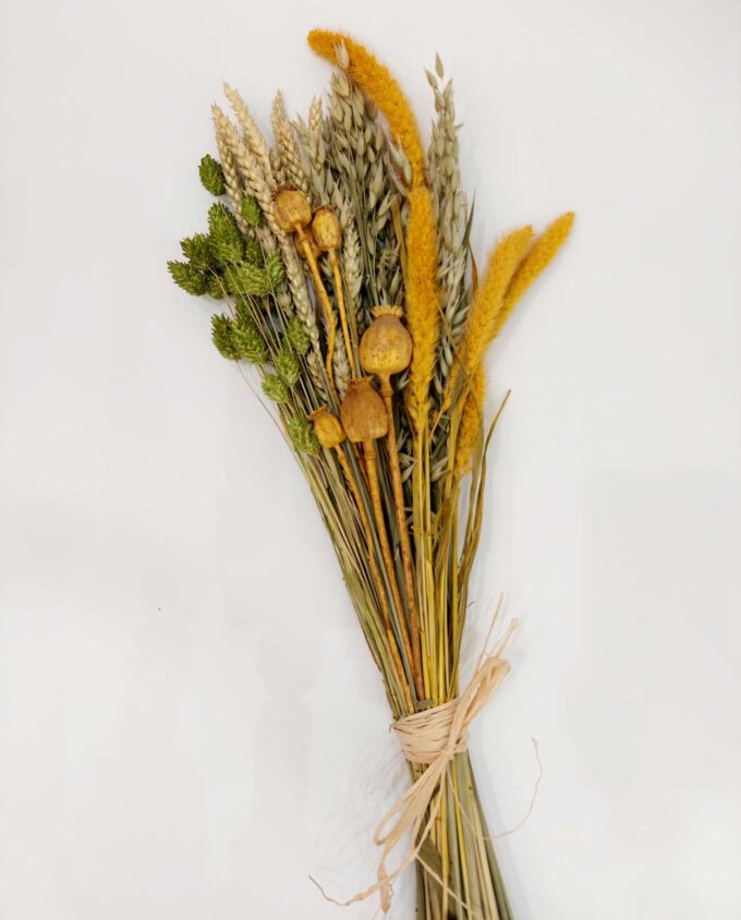 Dried Flowers Yellow Green Mix Bouquet