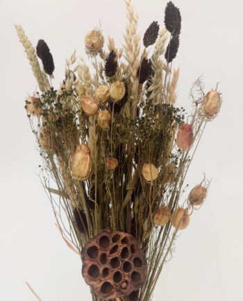 Dried Flowers Natural Brown Mix Bouquet