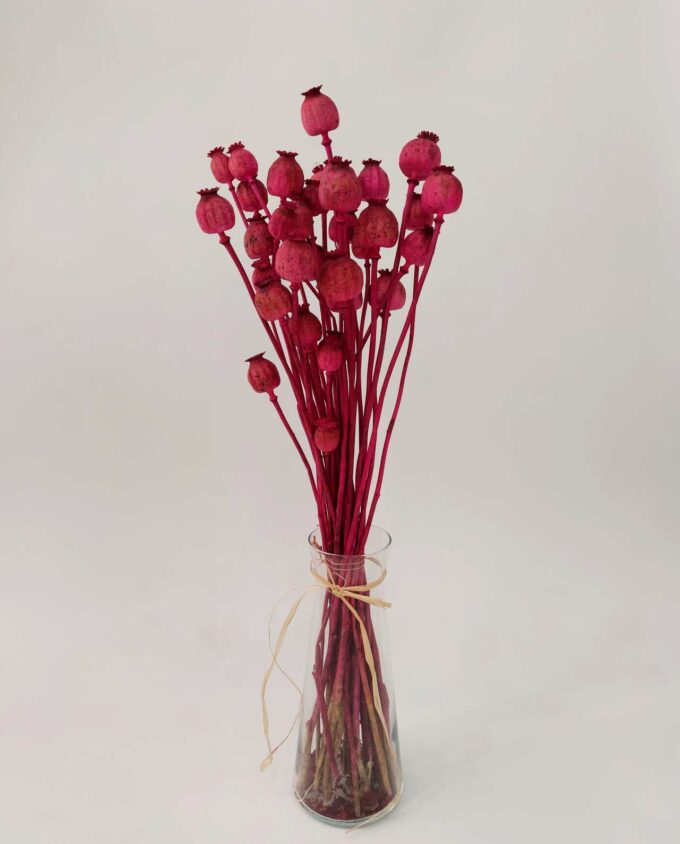 Dried Fuschia Papaver Bunch