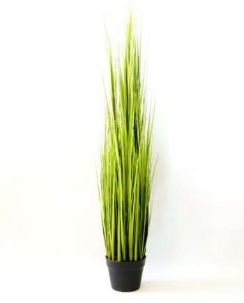 Plant Artificial In Pot Height 120 cm
