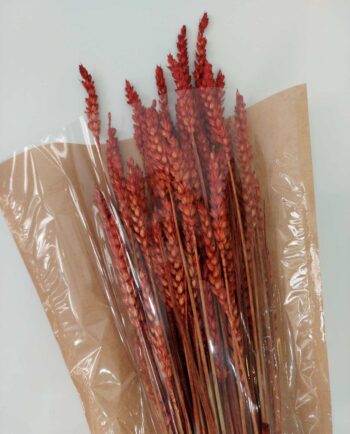 Dried Orange Wheat Bunch