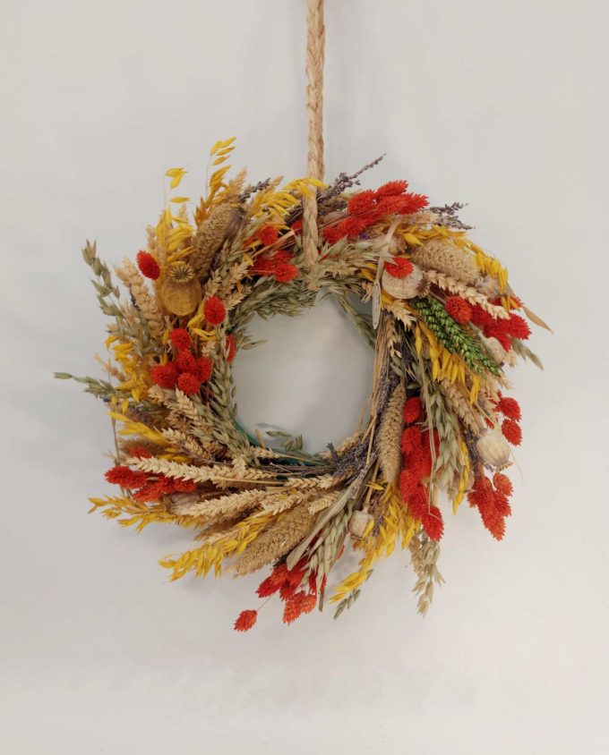 A dried flowers wreath arrangement of orange Phalaris, yellow oat, wheat and setaria