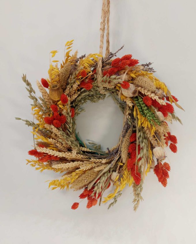 A dried flowers wreath arrangement of orange Phalaris, yellow oat, wheat and setaria