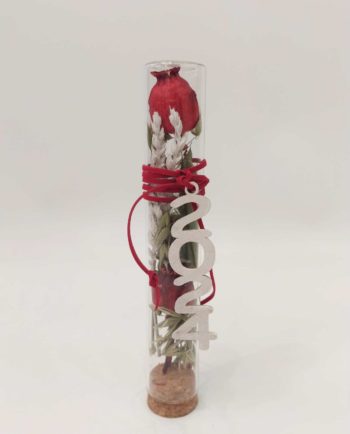 Lucky 2024 Glass Cylinder Dried Flowers