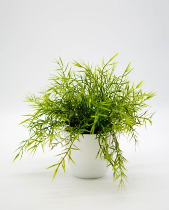 Τεχνητό φυτό σε άσπρο γλαστράκι ύψους 25 cm