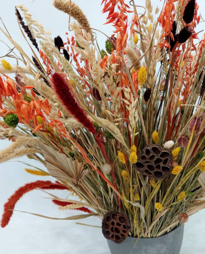 Dried Flowers Big Centerpiece Arrangement