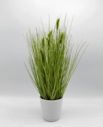Artificial Green Plant in Pot Height 25 cm