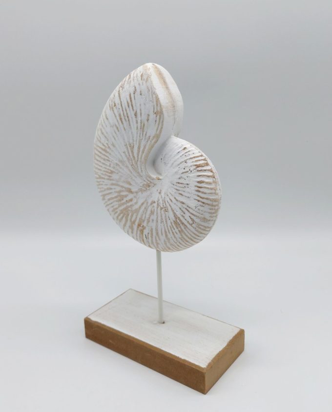 Nautilus Wooden on Stand