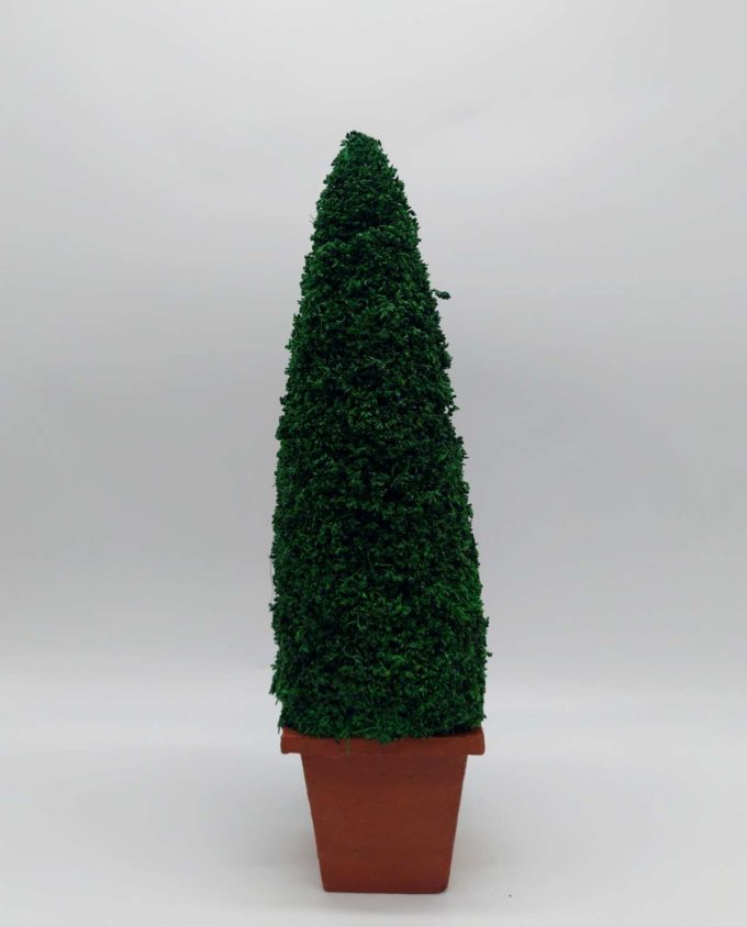 Arrangement Tree Dried Moss height 40 cm