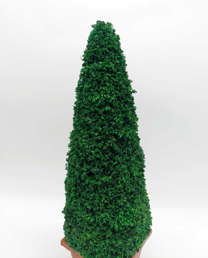 Arrangement Tree Dried Moss height 40 cm