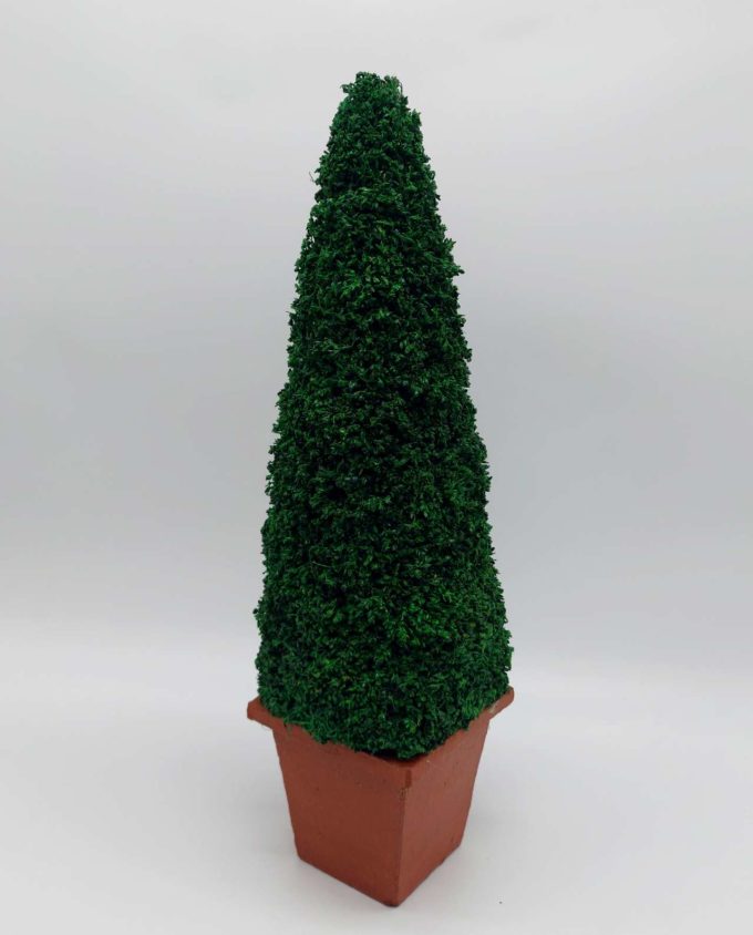 Arrangement Tree Dried Moss height 40 cm