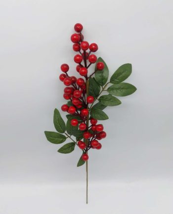 Twig with Berries & Leaves