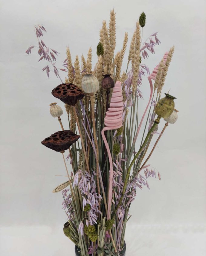 Dried Flowers Arrangement Lilac Oat & Papaver