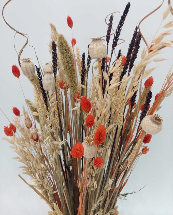 Dried Flowers Arrangement Orange Phalaris & Papaver