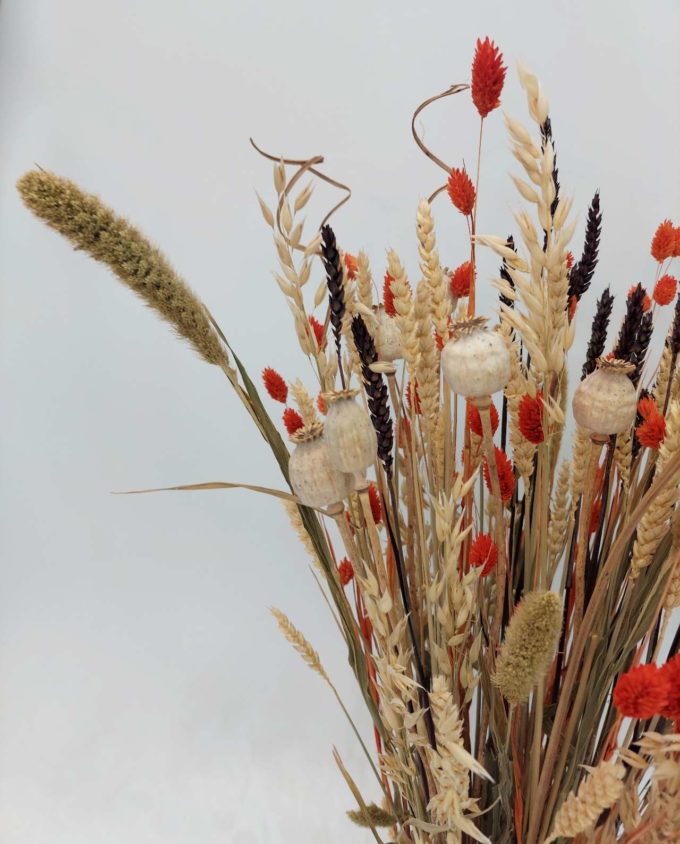 Dried Flowers Arrangement Orange Phalaris & Papaver