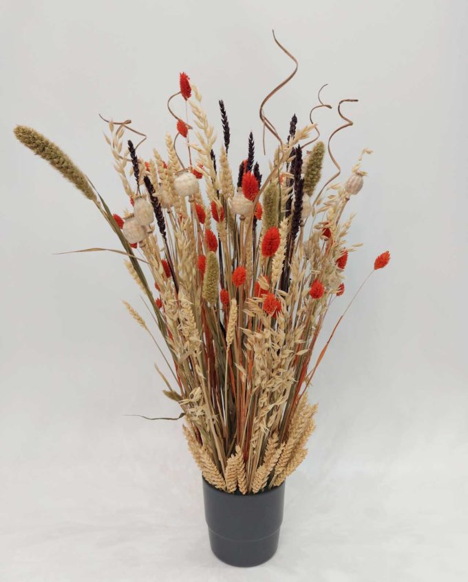 Dried Flowers Arrangement Orange Phalaris & Papaver