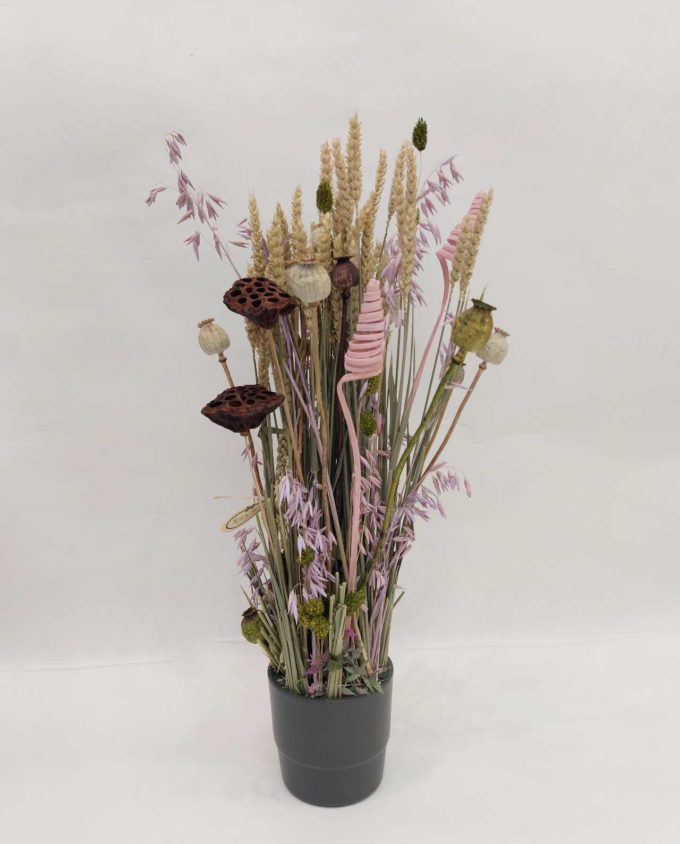 Dried Flowers Arrangement Lilac Oat & Papaver