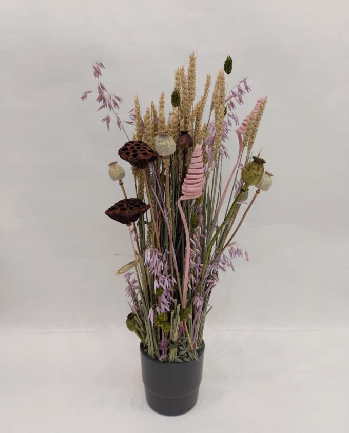 Dried Flowers Arrangement Lilac Oat & Papaver