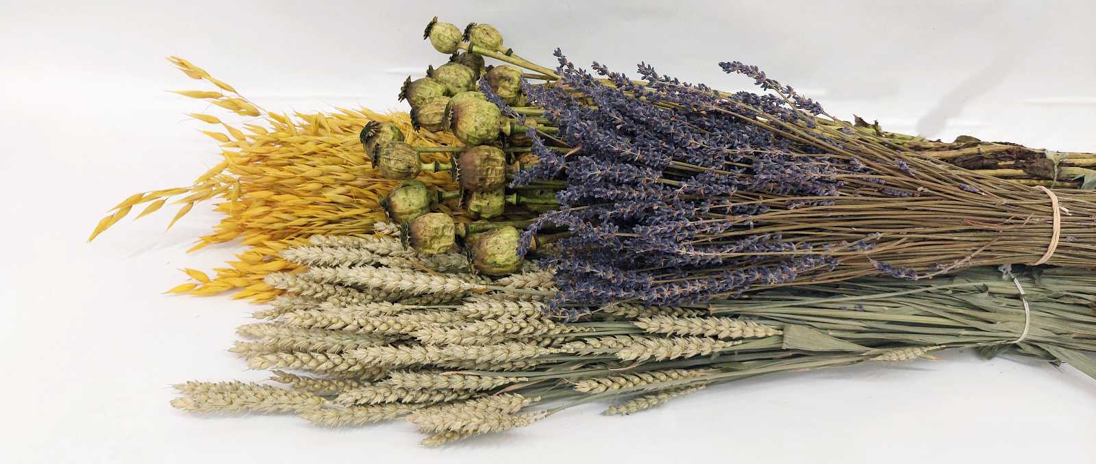 apojiramena-louloudia-D