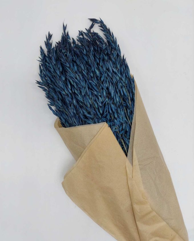 Dried Yellow Oats Bunch