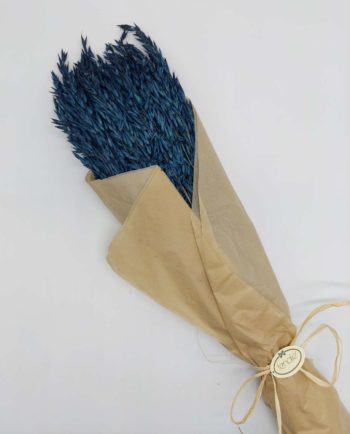 Dried Yellow Oats Bunch