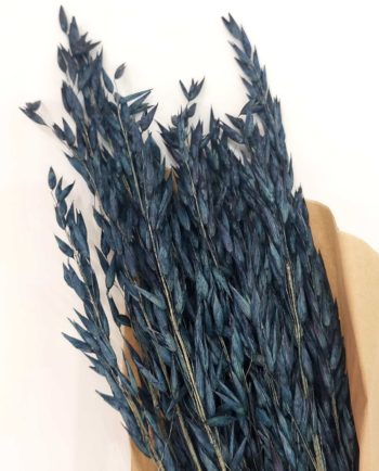 Dried Blue Oats Bunch