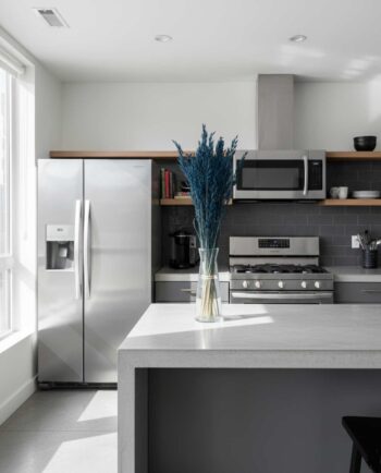 Dried Blue Oats Bunch