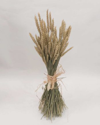 Dried Flower Arrangement Wheat "Twist" Diameter 22 cm