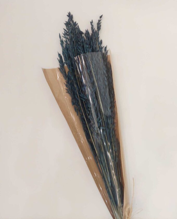 Dried Blue Oats Bunch