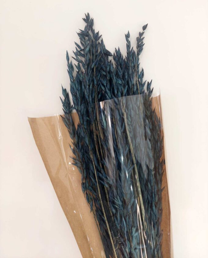 Dried Blue Oats Bunch
