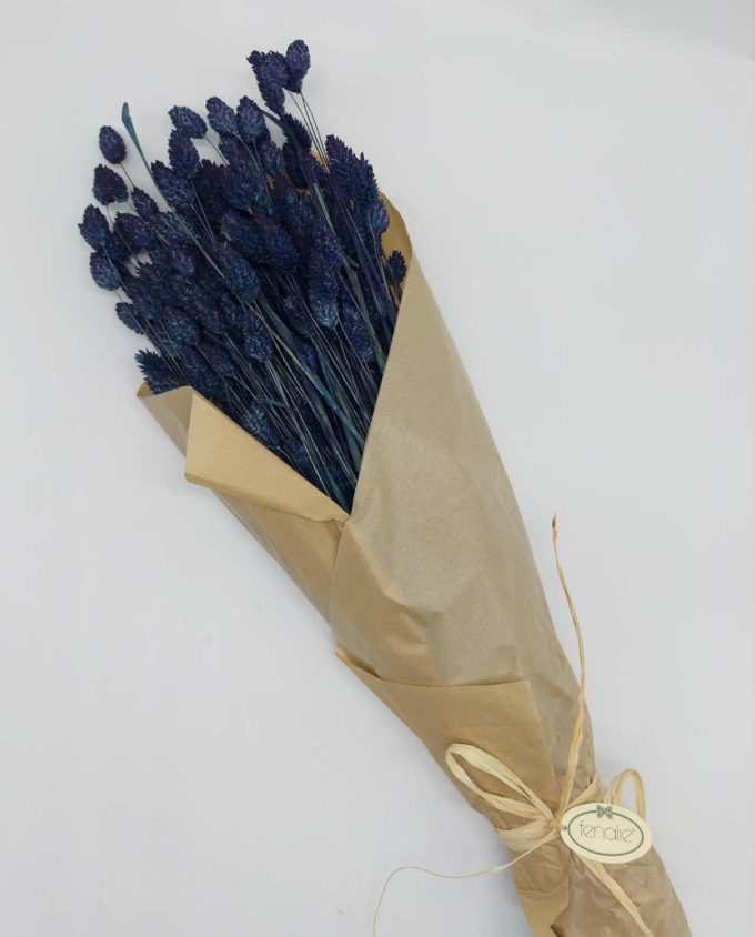 Dried Blue Phalaris Bunch