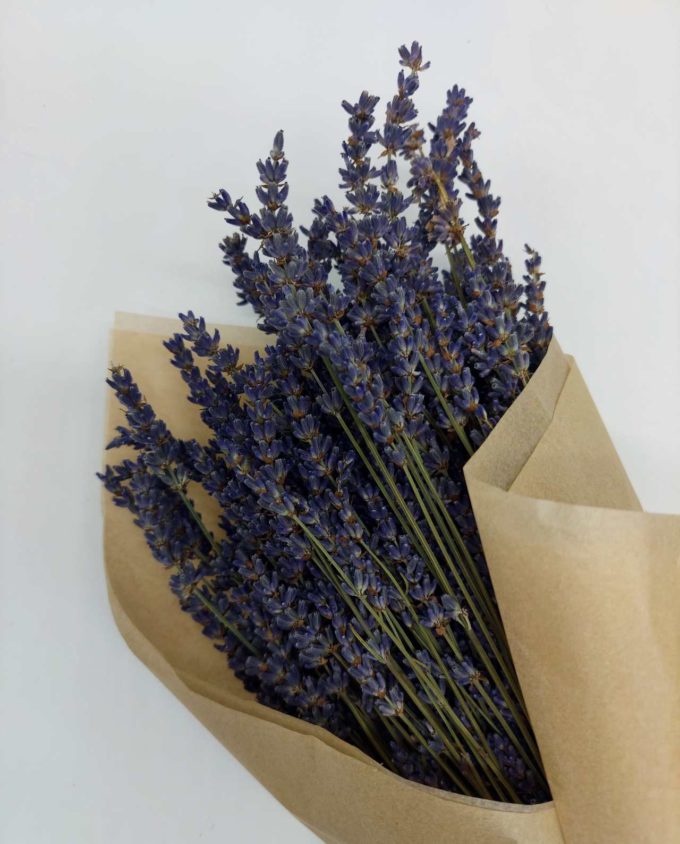 Dried Natural Lavender Bunch