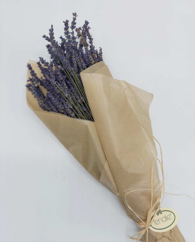 Dried Natural Lavender Bunch