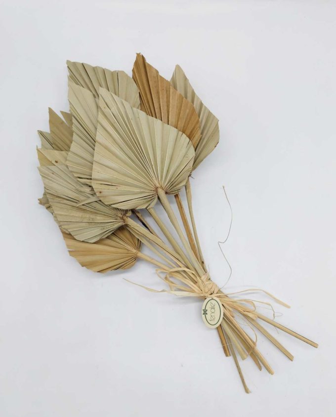 Dried Natural Palmspear Bunch