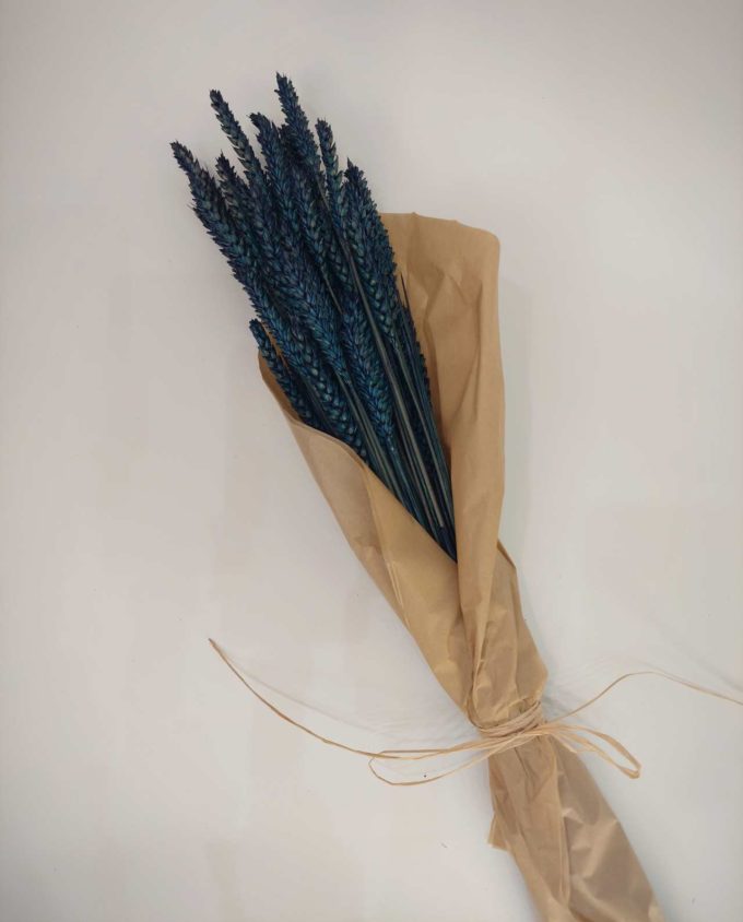 Dried Blue Wheat Bunch