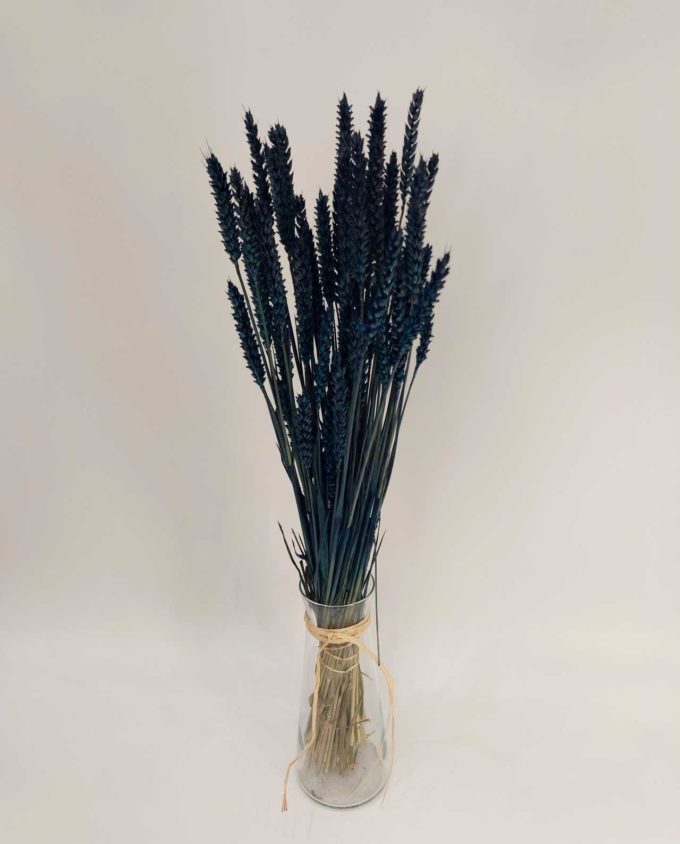 Dried Blue Wheat Bunch