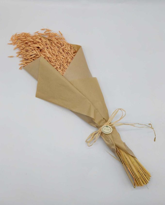 Dried Coral Oats Bunch