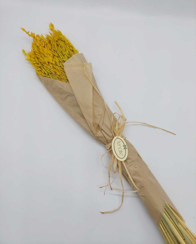 Dried Yellow Oats Bunch