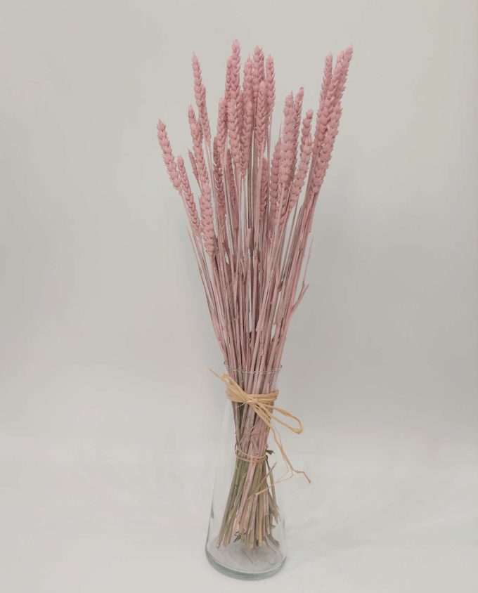 Dried Light Pink Wheat Bunch