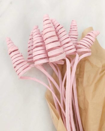 Dried Light Pink Ting-Ting Bunch