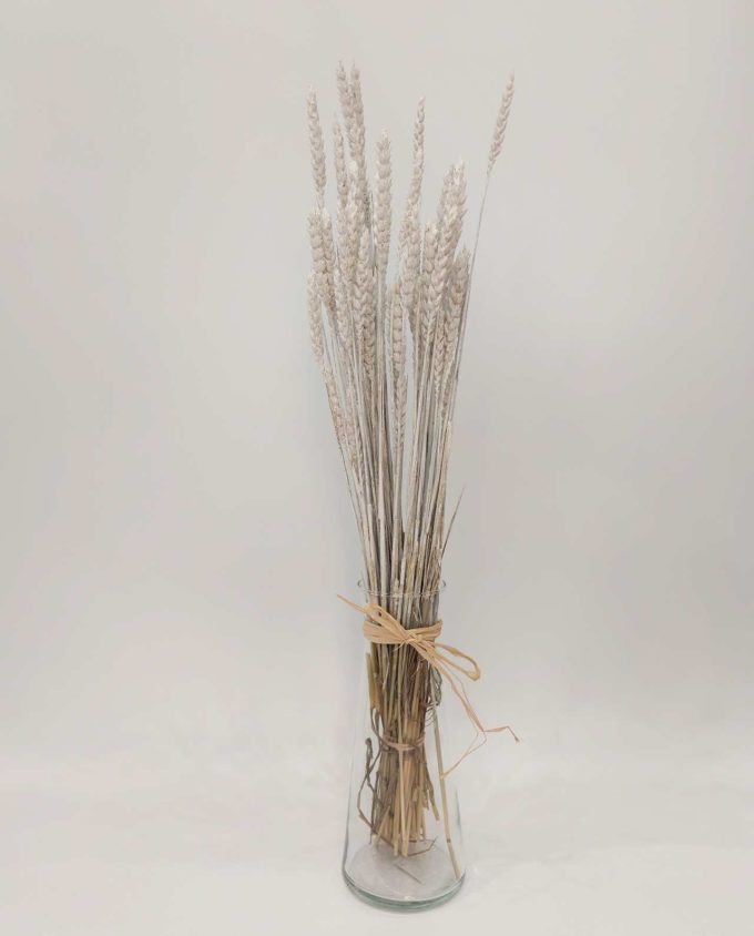 Dried White Wheat Bunch