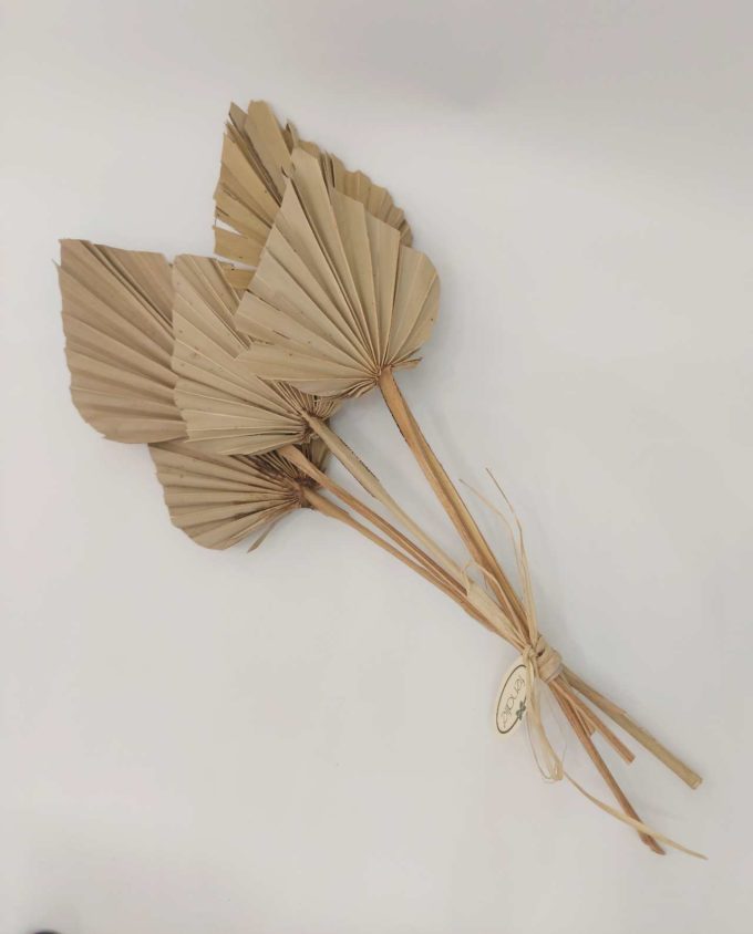 Dried Natural Palmspear Bunch 5 Pieces